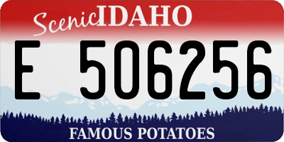 ID license plate E506256