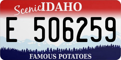 ID license plate E506259
