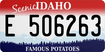 ID license plate E506263
