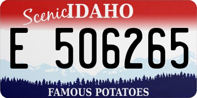 ID license plate E506265