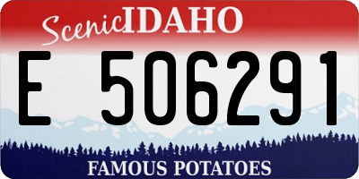 ID license plate E506291