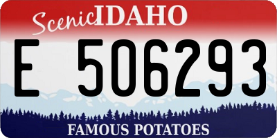 ID license plate E506293