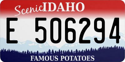 ID license plate E506294