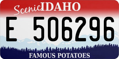 ID license plate E506296