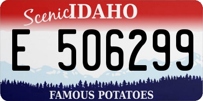 ID license plate E506299