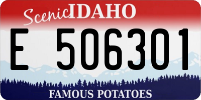 ID license plate E506301