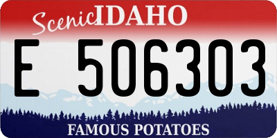 ID license plate E506303