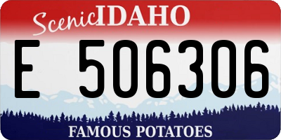 ID license plate E506306