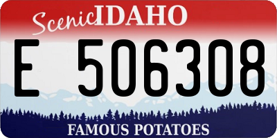 ID license plate E506308