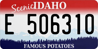 ID license plate E506310