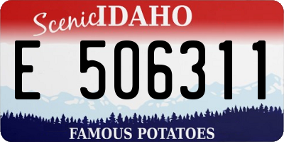 ID license plate E506311