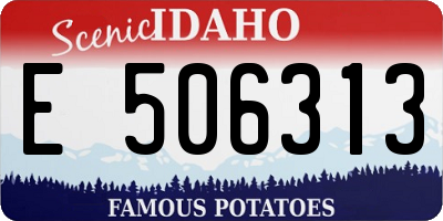 ID license plate E506313