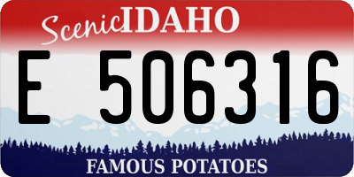 ID license plate E506316