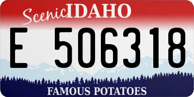 ID license plate E506318