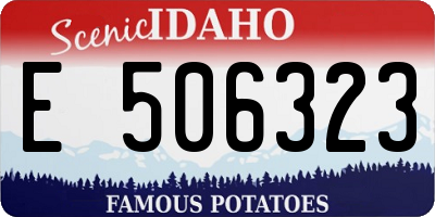 ID license plate E506323