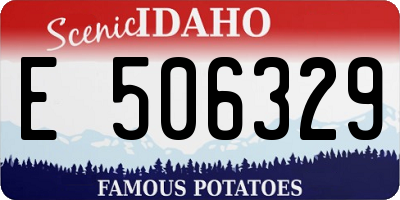 ID license plate E506329