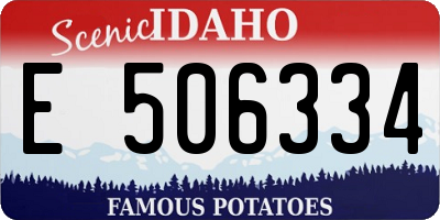 ID license plate E506334