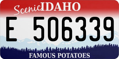 ID license plate E506339
