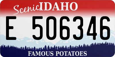 ID license plate E506346
