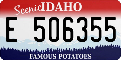 ID license plate E506355