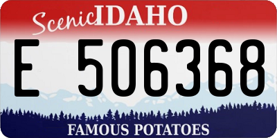 ID license plate E506368