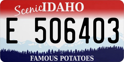 ID license plate E506403