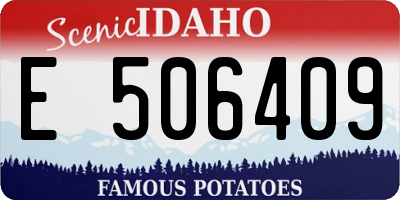 ID license plate E506409