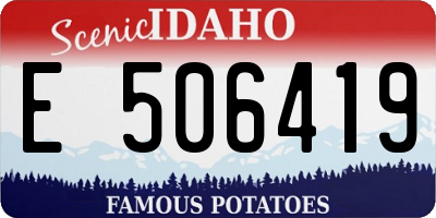 ID license plate E506419