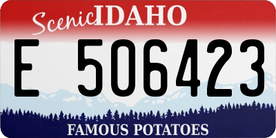 ID license plate E506423