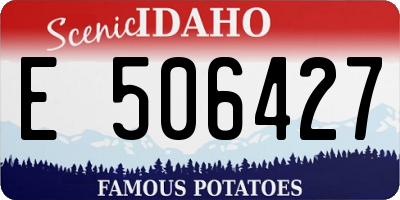 ID license plate E506427