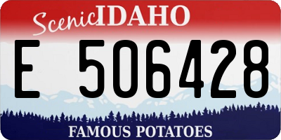ID license plate E506428