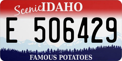 ID license plate E506429