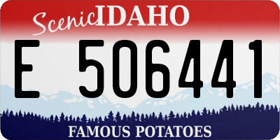 ID license plate E506441