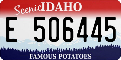 ID license plate E506445