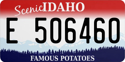 ID license plate E506460