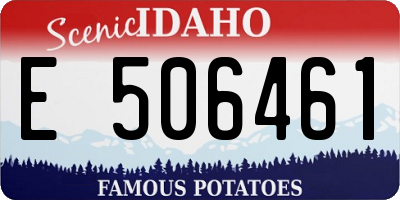 ID license plate E506461