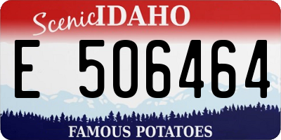 ID license plate E506464