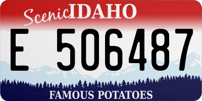 ID license plate E506487