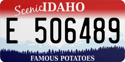 ID license plate E506489