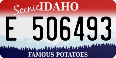 ID license plate E506493