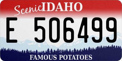 ID license plate E506499