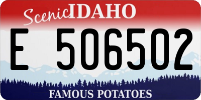 ID license plate E506502