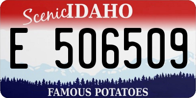 ID license plate E506509
