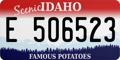 ID license plate E506523