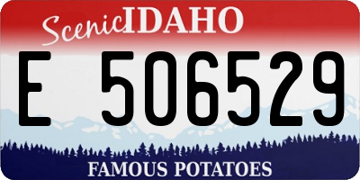 ID license plate E506529