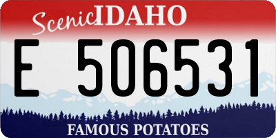 ID license plate E506531