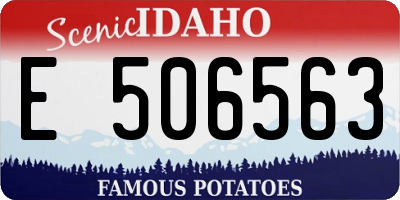 ID license plate E506563