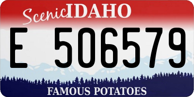 ID license plate E506579