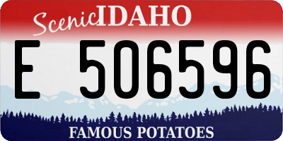 ID license plate E506596