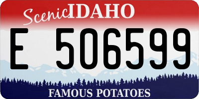 ID license plate E506599